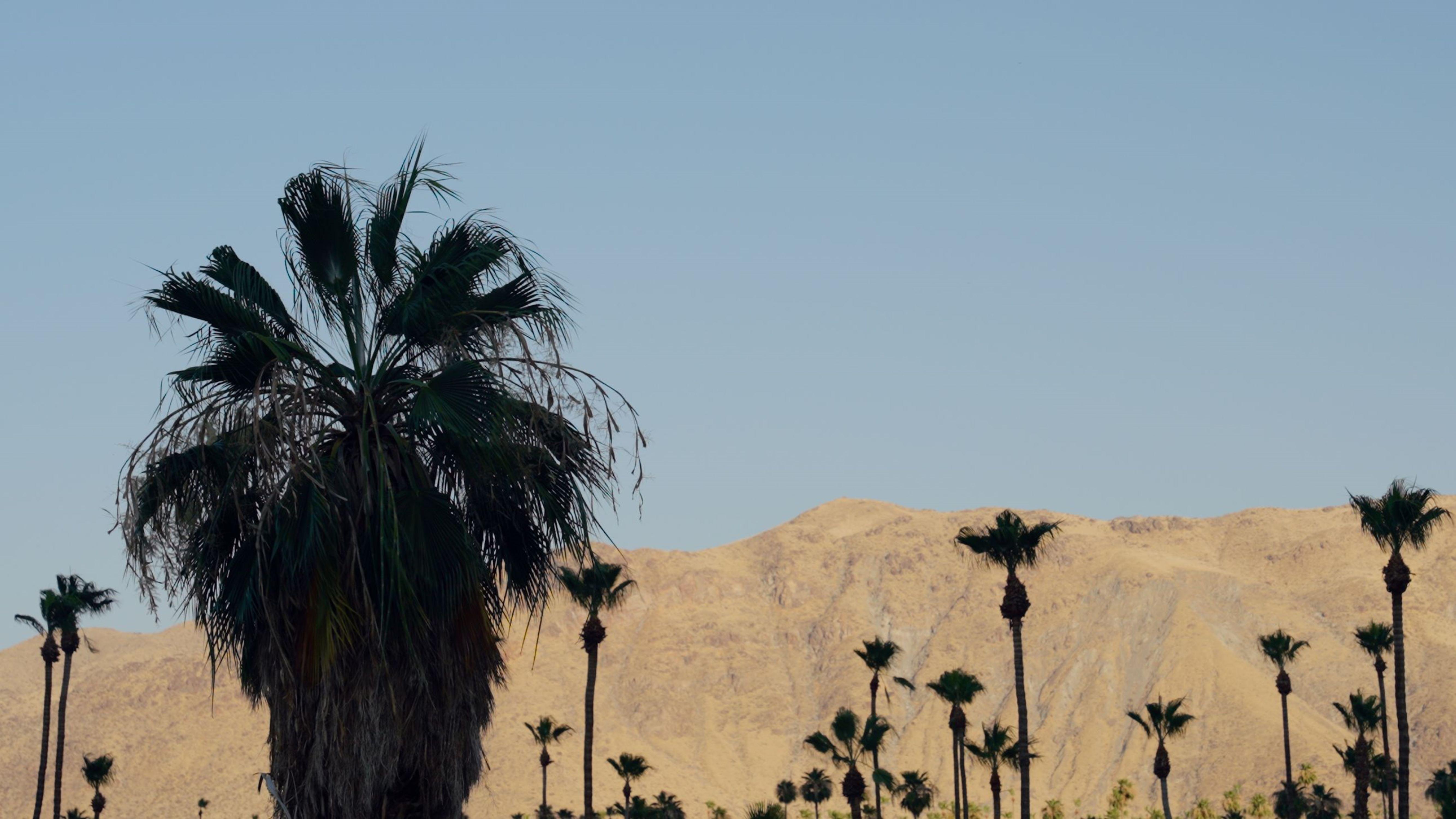 Hotel Royal Sun Palm Springs Exteriér fotografie