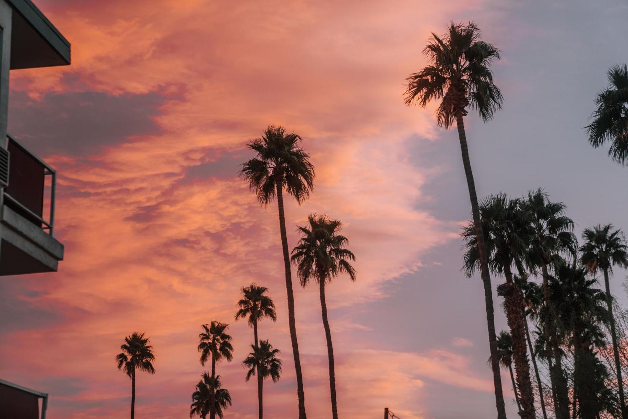 Hotel Royal Sun Palm Springs Exteriér fotografie
